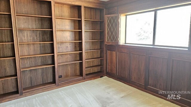 empty room featuring wooden walls and carpet
