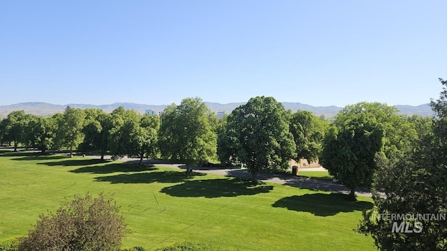 view of property's community featuring a mountain view and a yard