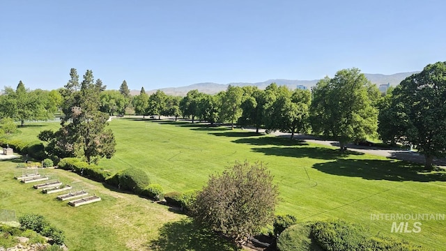 view of community with a yard