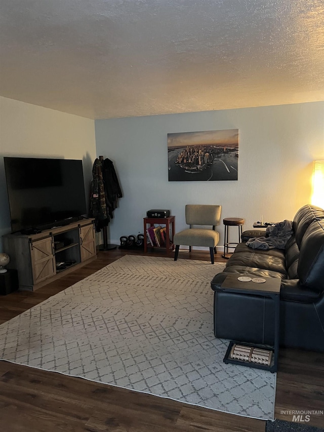 living room featuring a textured ceiling and dark wood-type flooring