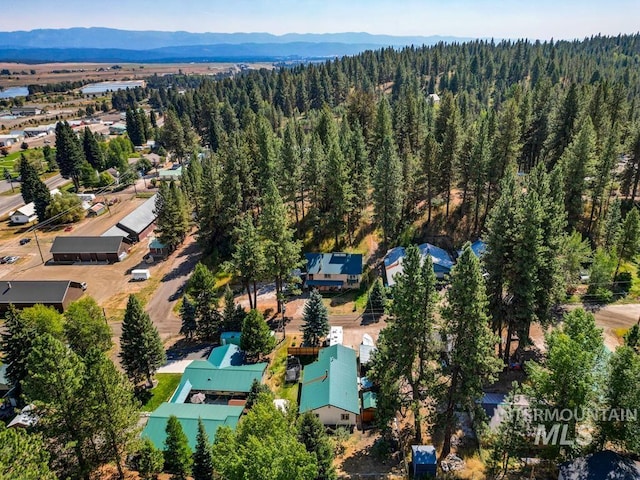 birds eye view of property featuring a mountain view