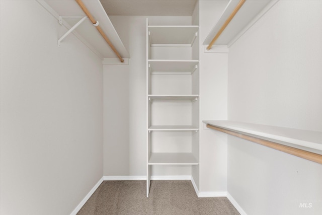 1406 W Wright St, Boise, ID 83705 - walk in closet featuring carpet flooring