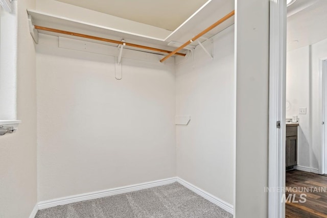 spacious closet featuring dark colored carpet
