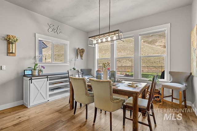 dining room with a wealth of natural light and light wood finished floors