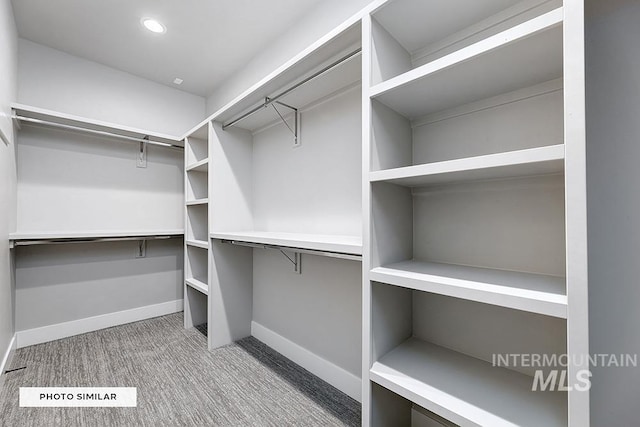 spacious closet featuring carpet flooring
