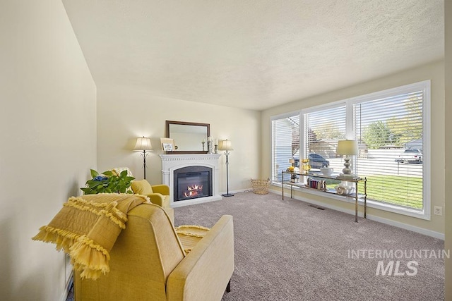 2189 W Rainfall St, Meridian, ID 83646 - living room featuring carpet floors, baseboards, a glass covered fireplace, and a textured ceiling