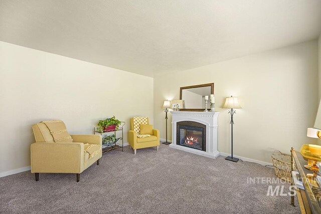 2189 W Rainfall St, Meridian, ID 83646 - sitting room with carpet, a glass covered fireplace, and baseboards