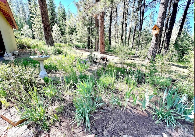 3617 Rubicon St, New Meadows, ID 83612 - view of yard