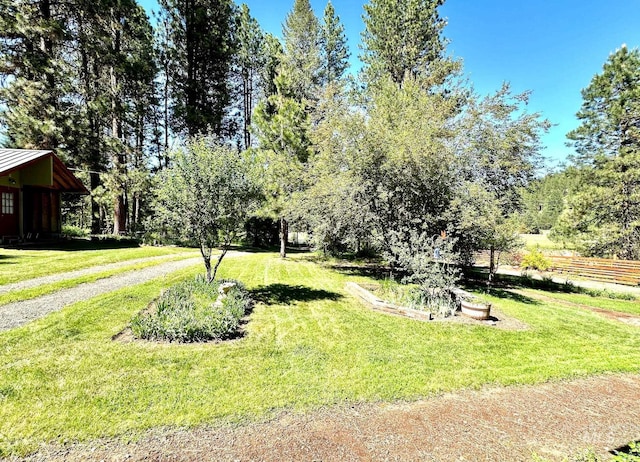 3617 Rubicon St, New Meadows, ID 83612 - view of yard