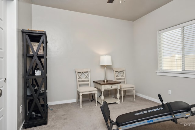 12022 W Ardyce, Boise, ID 83713 - exercise area featuring carpet and a ceiling fan