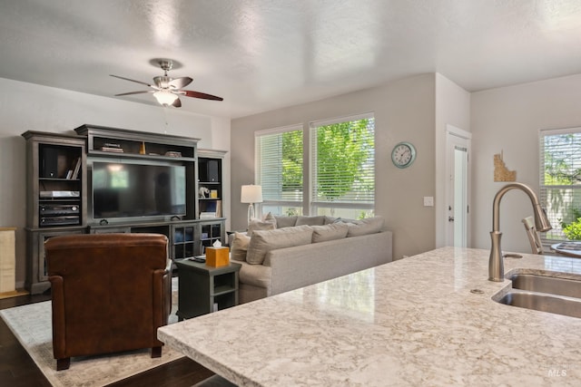 12022 W Ardyce, Boise, ID 83713 - living area featuring a ceiling fan and wood finished floors