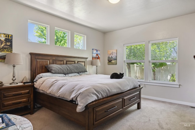 12022 W Ardyce, Boise, ID 83713 - bedroom with light carpet and baseboards