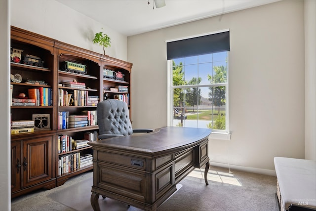 12022 W Ardyce, Boise, ID 83713 - office with plenty of natural light, carpet flooring, and a ceiling fan