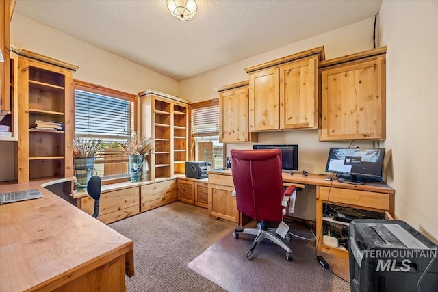 1770 N 3rd St, Nyssa, OR 97913 - office area with healthy amount of natural light and carpet floors