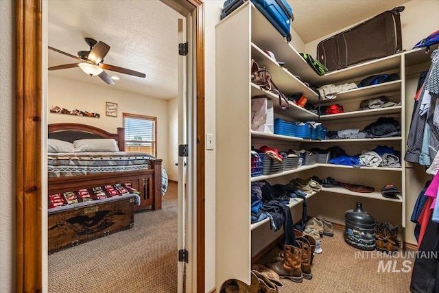 1770 N 3rd St, Nyssa, OR 97913 - walk in closet featuring carpet and a ceiling fan