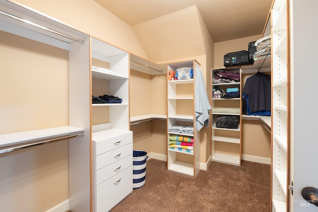 spacious closet with dark colored carpet