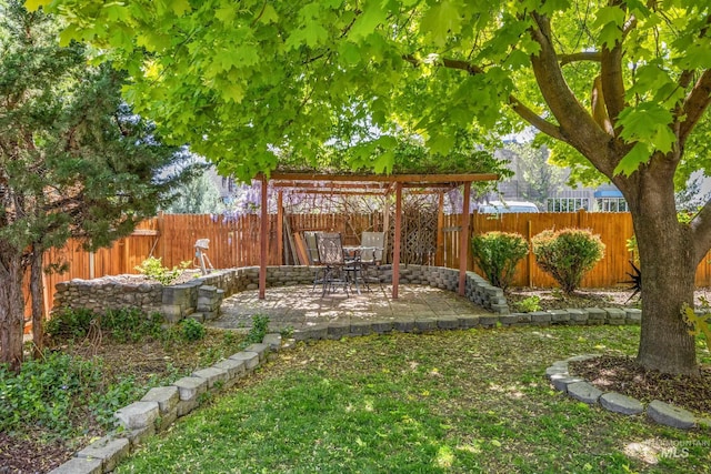 view of yard featuring a patio