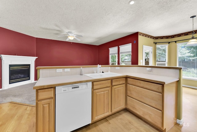 kitchen with white dishwasher, a sink, light wood-style floors, healthy amount of natural light, and a textured ceiling