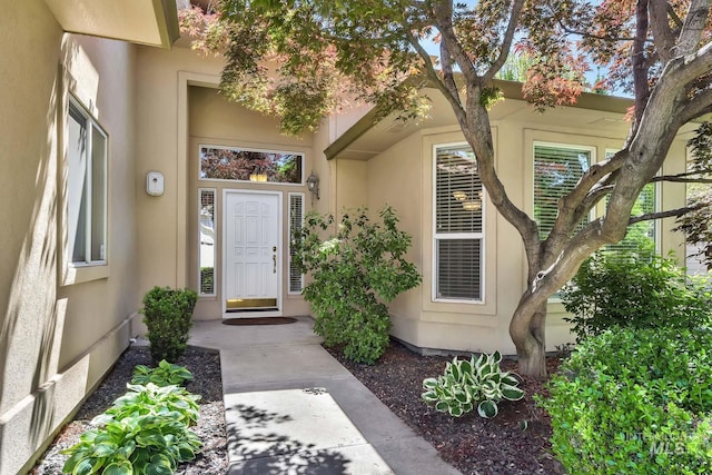 view of exterior entry with stucco siding