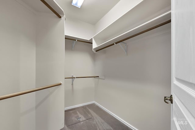 spacious closet with carpet flooring