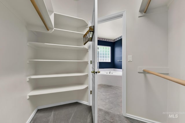 walk in closet with carpet