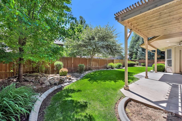 view of yard featuring a patio area