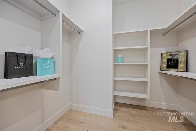1948 Red Rock Way, Twin Falls, ID 83301 - spacious closet with light wood-style floors