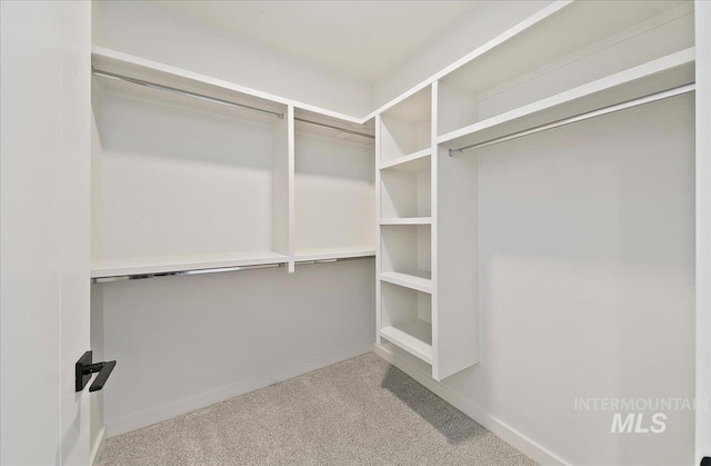 4340 E Haystack St Unit 101, Boise, ID 83716 - walk in closet featuring carpet floors