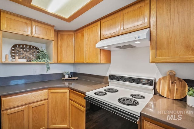 9421 W Rifleman St, Boise, ID 83703 - kitchen with range with electric stovetop, under cabinet range hood, and dark countertops
