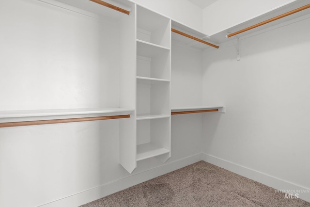 11153 W Brett Dr, Nampa, ID 83686 - walk in closet with carpet floors