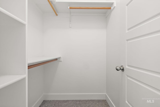 11153 W Brett Dr, Nampa, ID 83686 - spacious closet with carpet