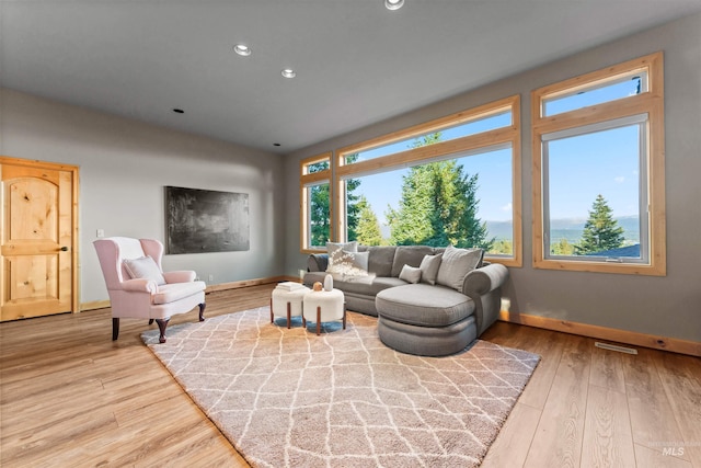 living room with hardwood / wood-style floors