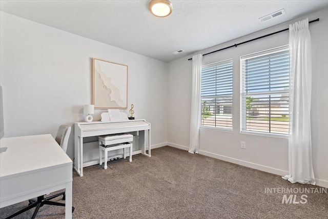 19558 Delmarva Ave, Caldwell, ID 83605 - home office with carpet flooring and baseboards