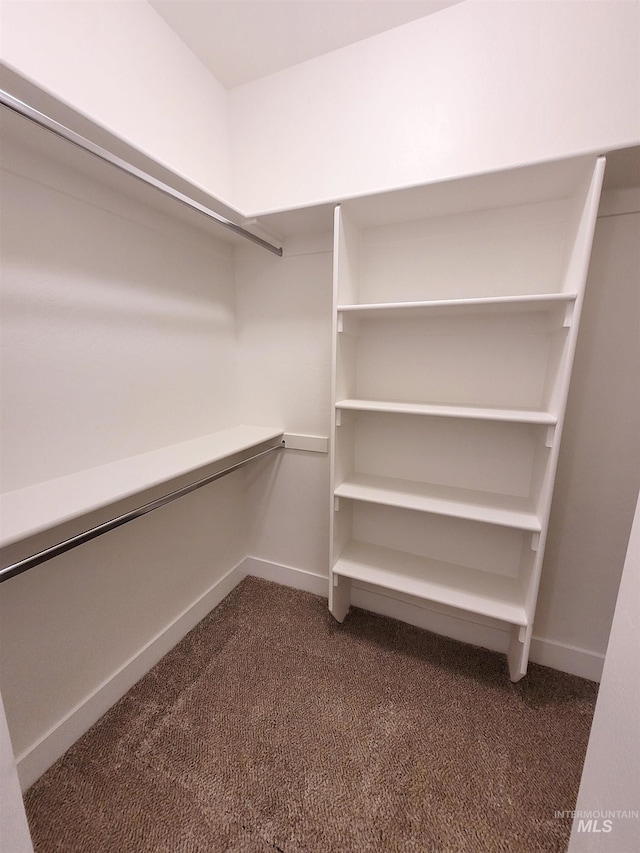 spacious closet with dark carpet