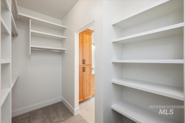 walk in closet featuring light carpet