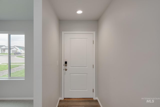 entryway featuring dark hardwood / wood-style flooring