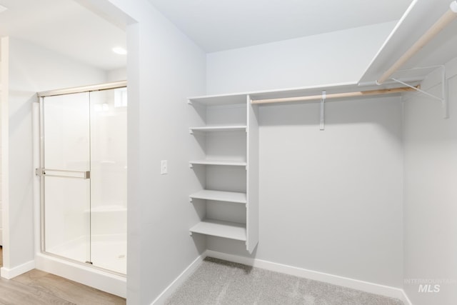 spacious closet featuring light carpet