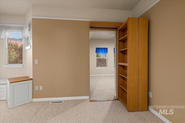 2920 S Givens Way, Meridian, ID 83642 - spacious closet with light carpet