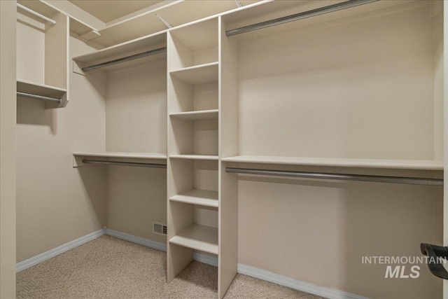 2920 S Givens Way, Meridian, ID 83642 - walk in closet featuring light colored carpet