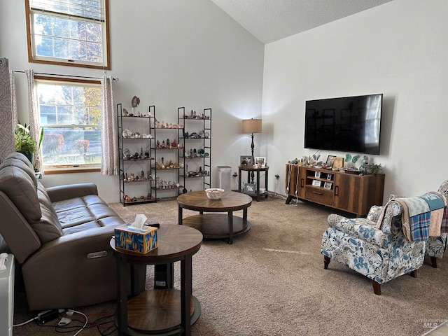 living room with high vaulted ceiling, carpet floors, and a textured ceiling