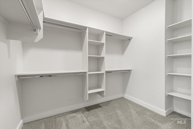 1866 W Windswept Dr, Meridian, ID 83646 - walk in closet featuring carpet