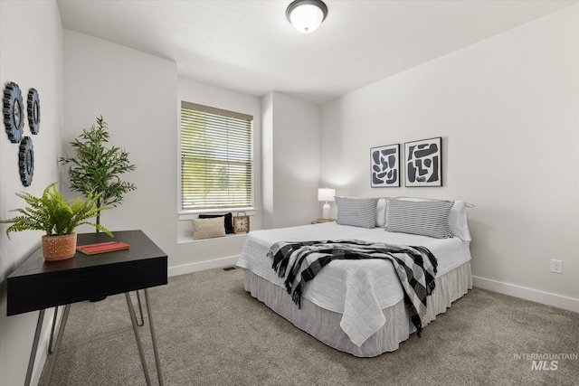 1866 W Windswept Dr, Meridian, ID 83646 - bedroom with light carpet