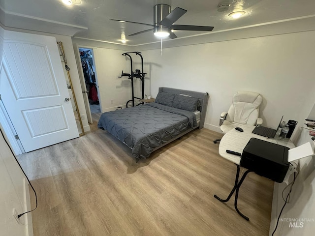 bedroom with ceiling fan, a walk in closet, light hardwood / wood-style floors, and a closet