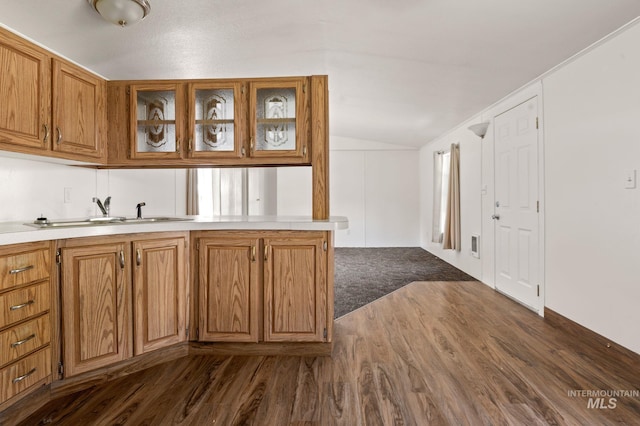 kitchen featuring a sink, dark wood-style floors, light countertops, glass insert cabinets, and lofted ceiling