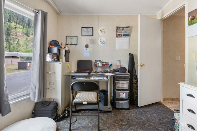 office featuring ornamental molding