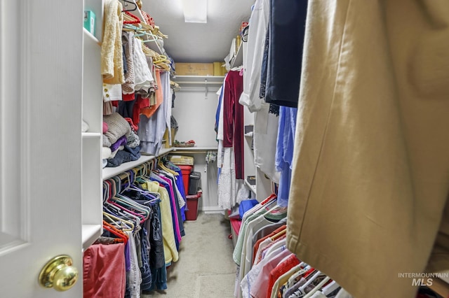 265 Cedar Park Cir, Twin Falls, ID 83301 - walk in closet featuring carpet floors