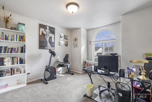 265 Cedar Park Cir, Twin Falls, ID 83301 - office featuring carpet flooring, baseboards, and a textured ceiling