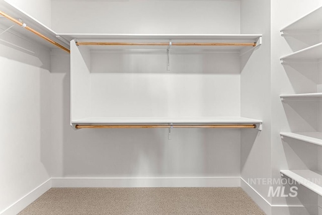 walk in closet featuring carpet