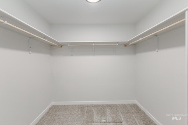 walk in closet with carpet flooring