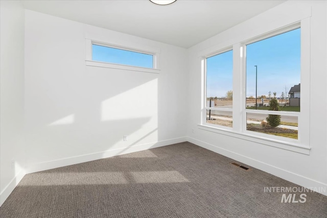 carpeted empty room featuring a wealth of natural light